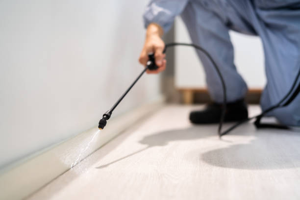 Licensed Rodent Control service in Monroe County County, MI - Nex Pest Control