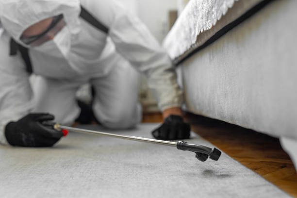 Professional Rodent Control technician working in Monroe County County, MI
